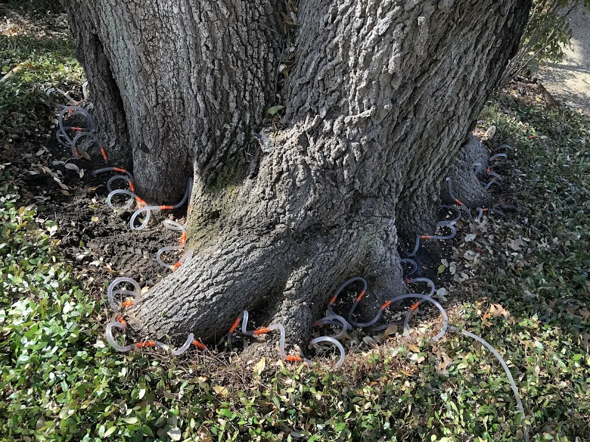 Detailed Shrub and Hedge Trimming job site in Goodwell